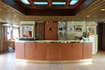 MS Modigliani Gallery Image